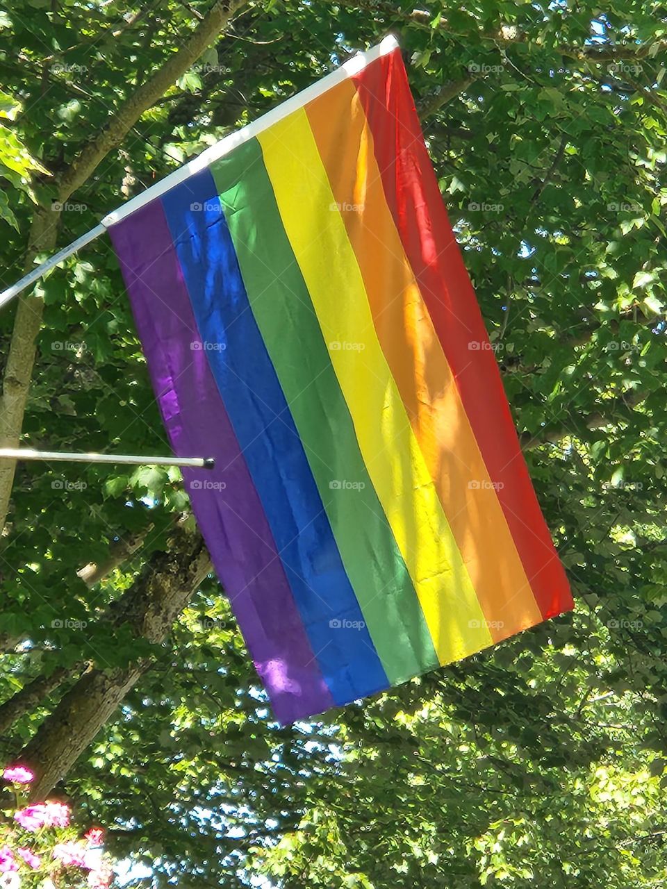 rainbow Pride flag against green leaves in Oregon park