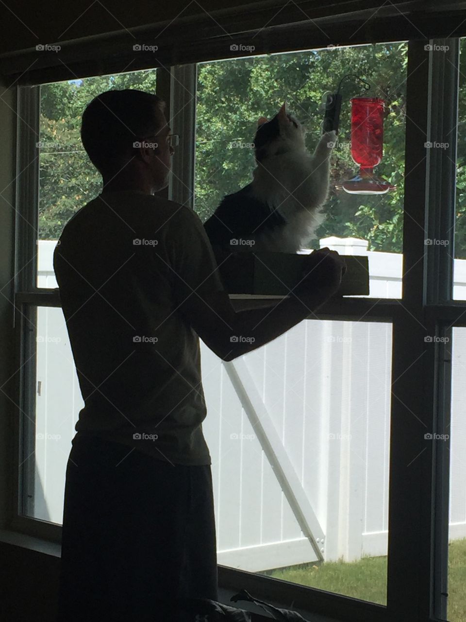 Man and cat birdwatching 