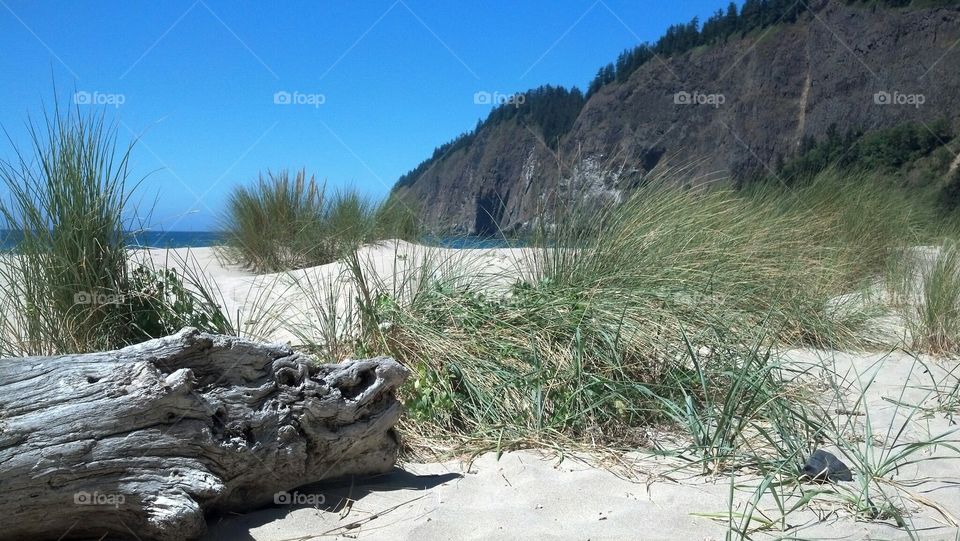 Oregon coast