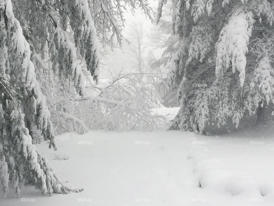 March snow storm in the Pocono