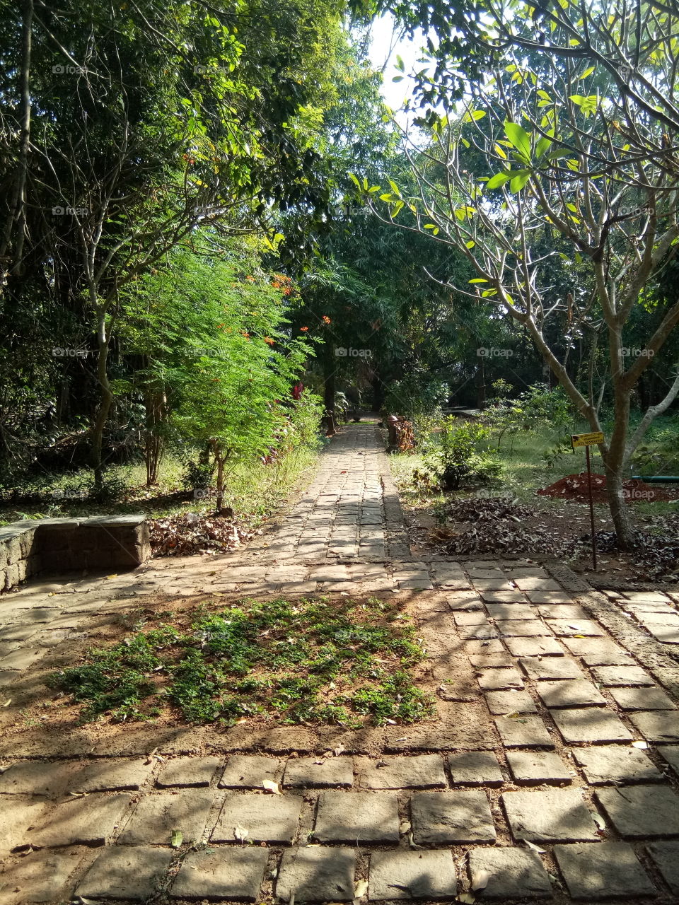 stone path