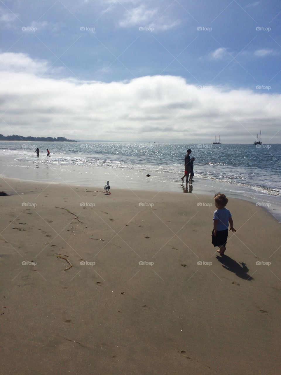 Beach Bird Run