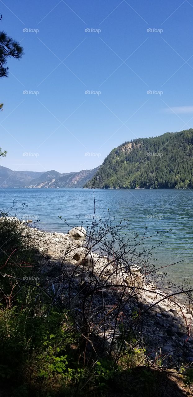 shady rocky shoreline beach with foliage and aview of lake and mountain ridge on a sunny blue sky