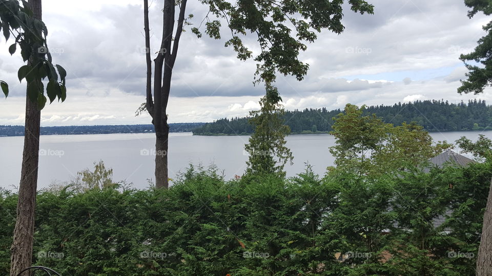 Seward park