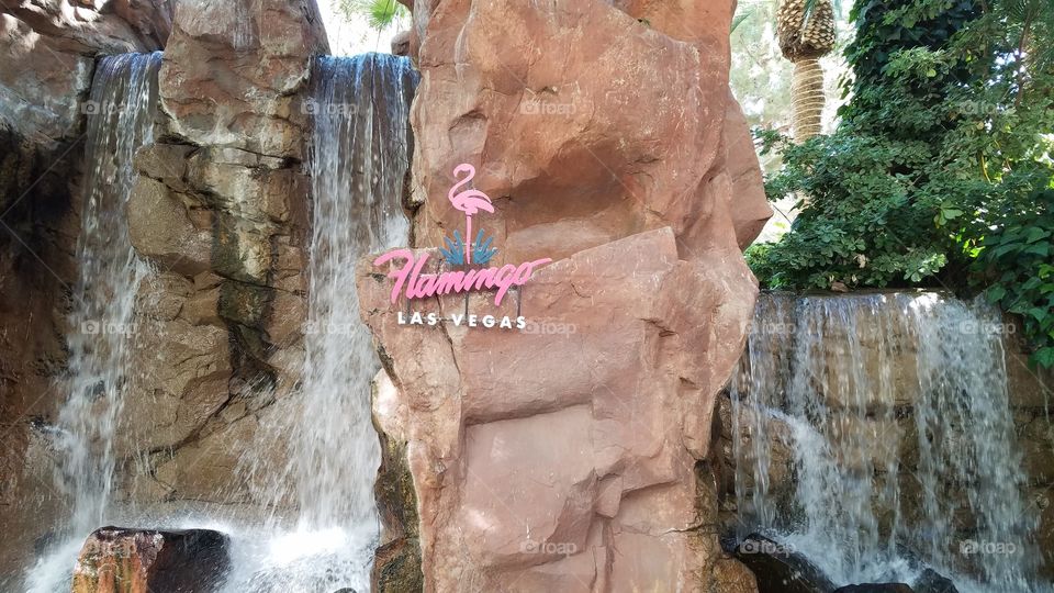 Las Vegas Flamingo Hotel Sign with Waterfall