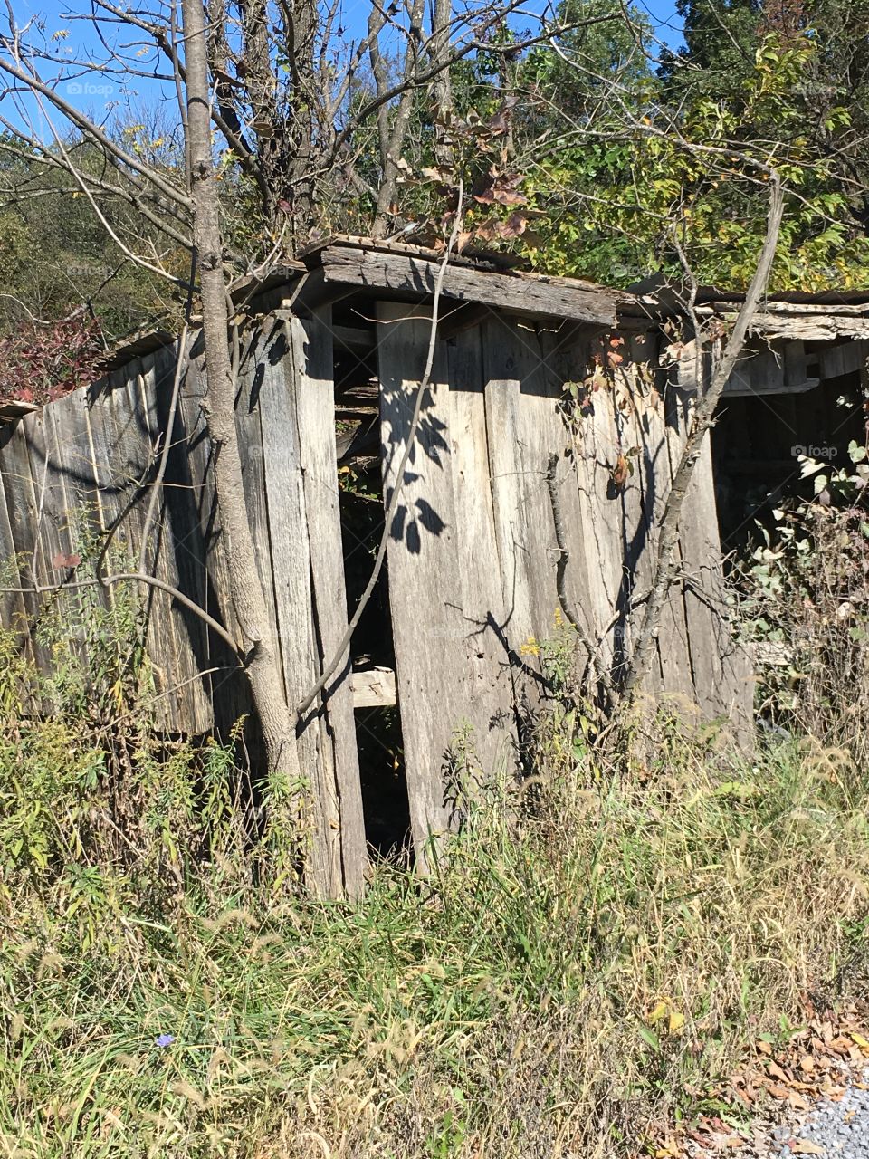 Old Shed
