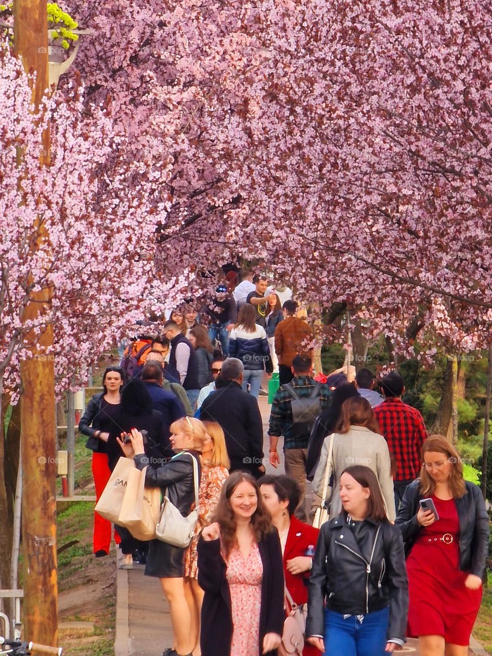 spring for a walk