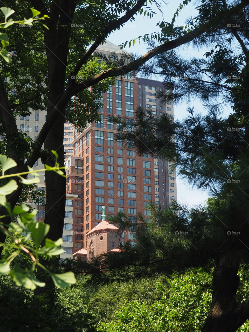 Building façade in NewYork City, seen from Central Park