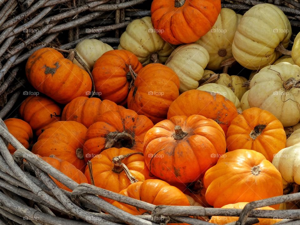 Basket Full Of Pumpkins
