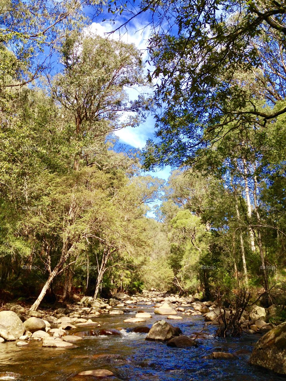 Rubicon River in country Victoria 