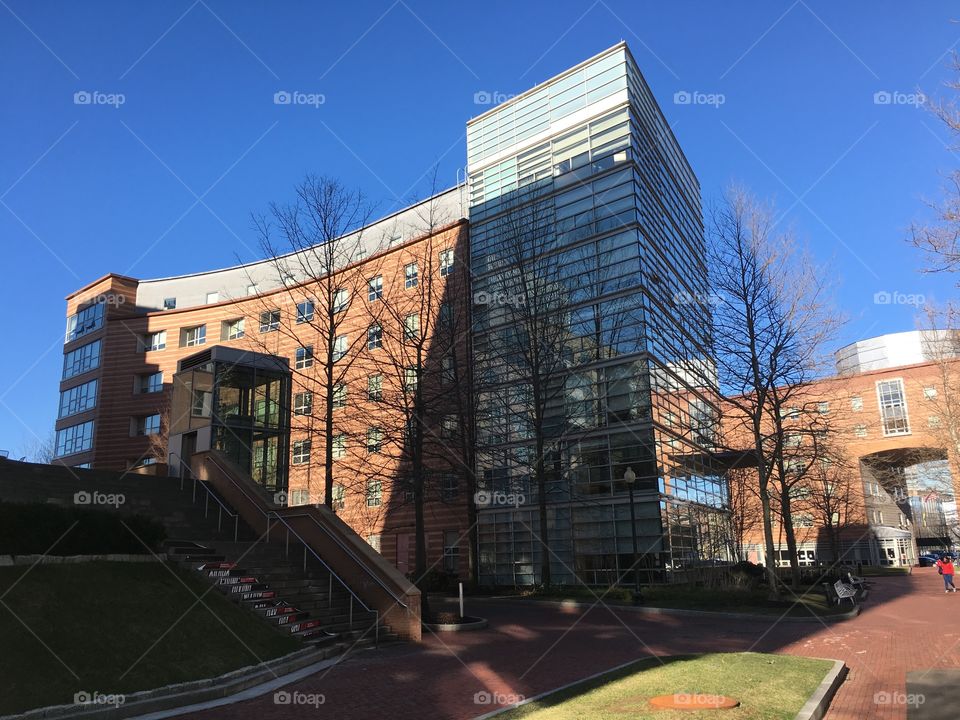 Northeastern University in Boston