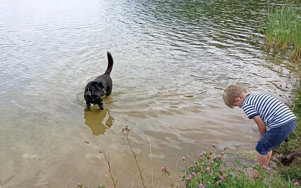 Labrador retriever and child boy in water lake summer time, summer heat, family resting on a nature