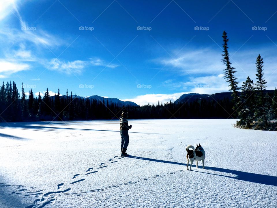 Tracks on the pond