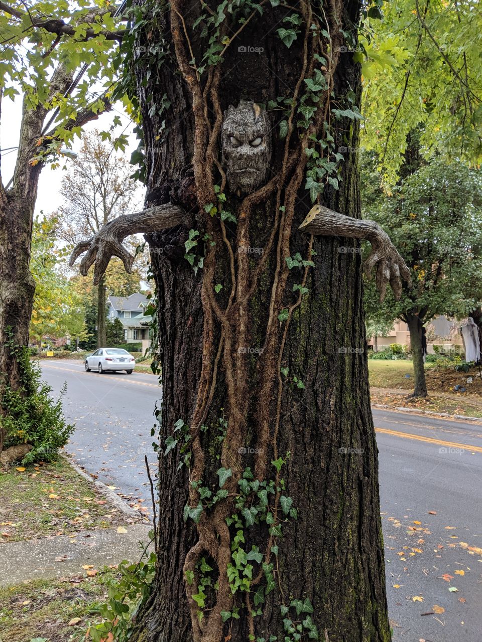 Haunted Tree