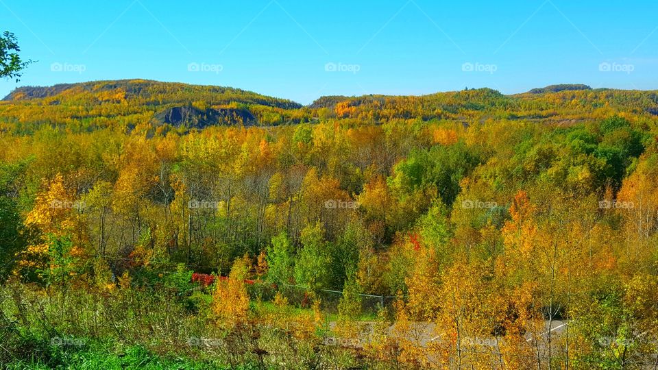 autumn in minnesota