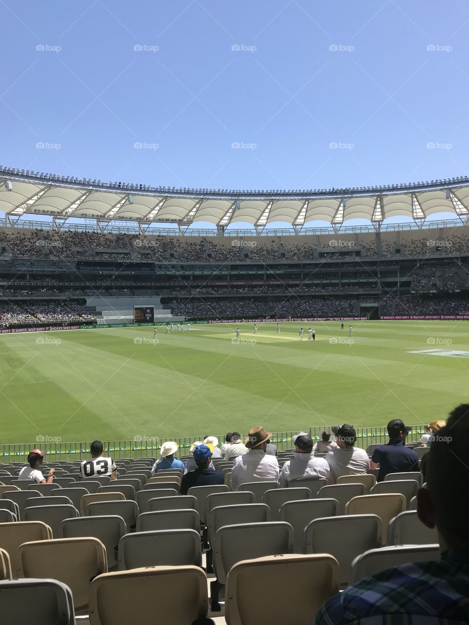 Cricket at stadium