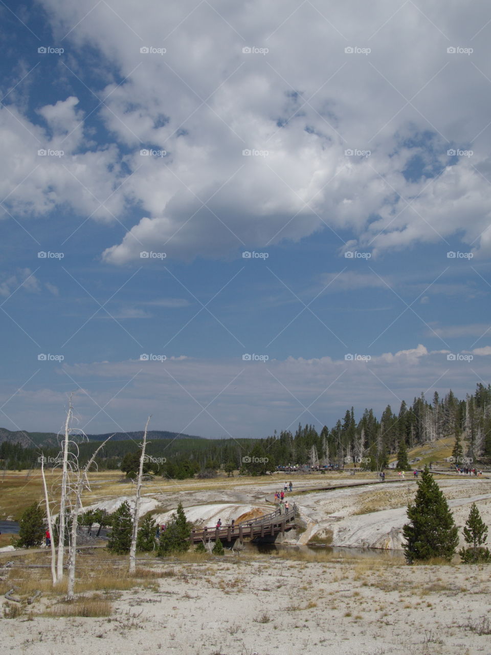 Stunning geology in the unique landscape of Geyser Hill in Yellowstone National Park on a sunny summer day. 