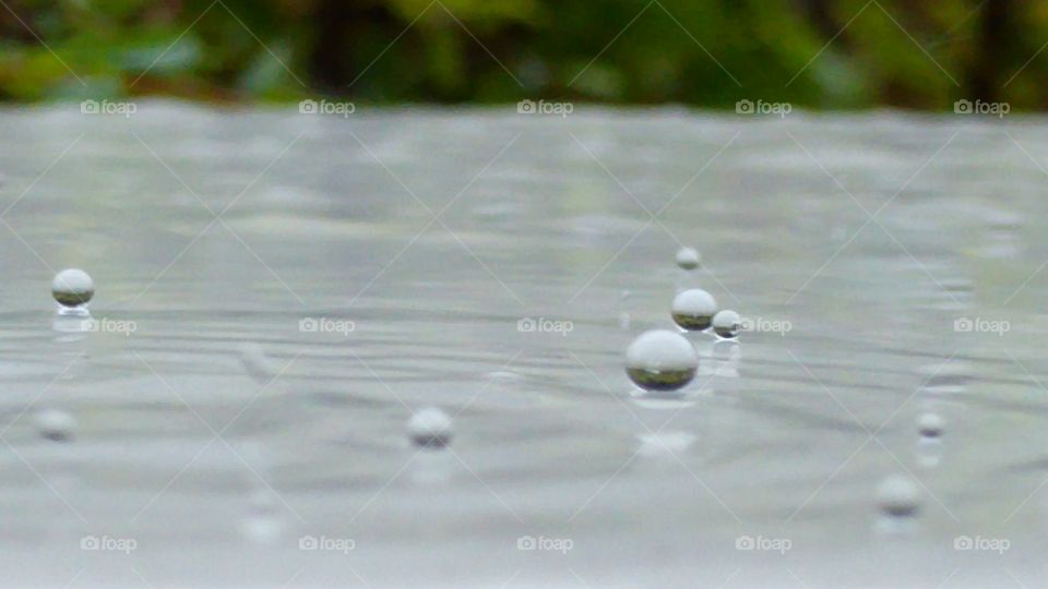 raindrops. raindrops on pavement