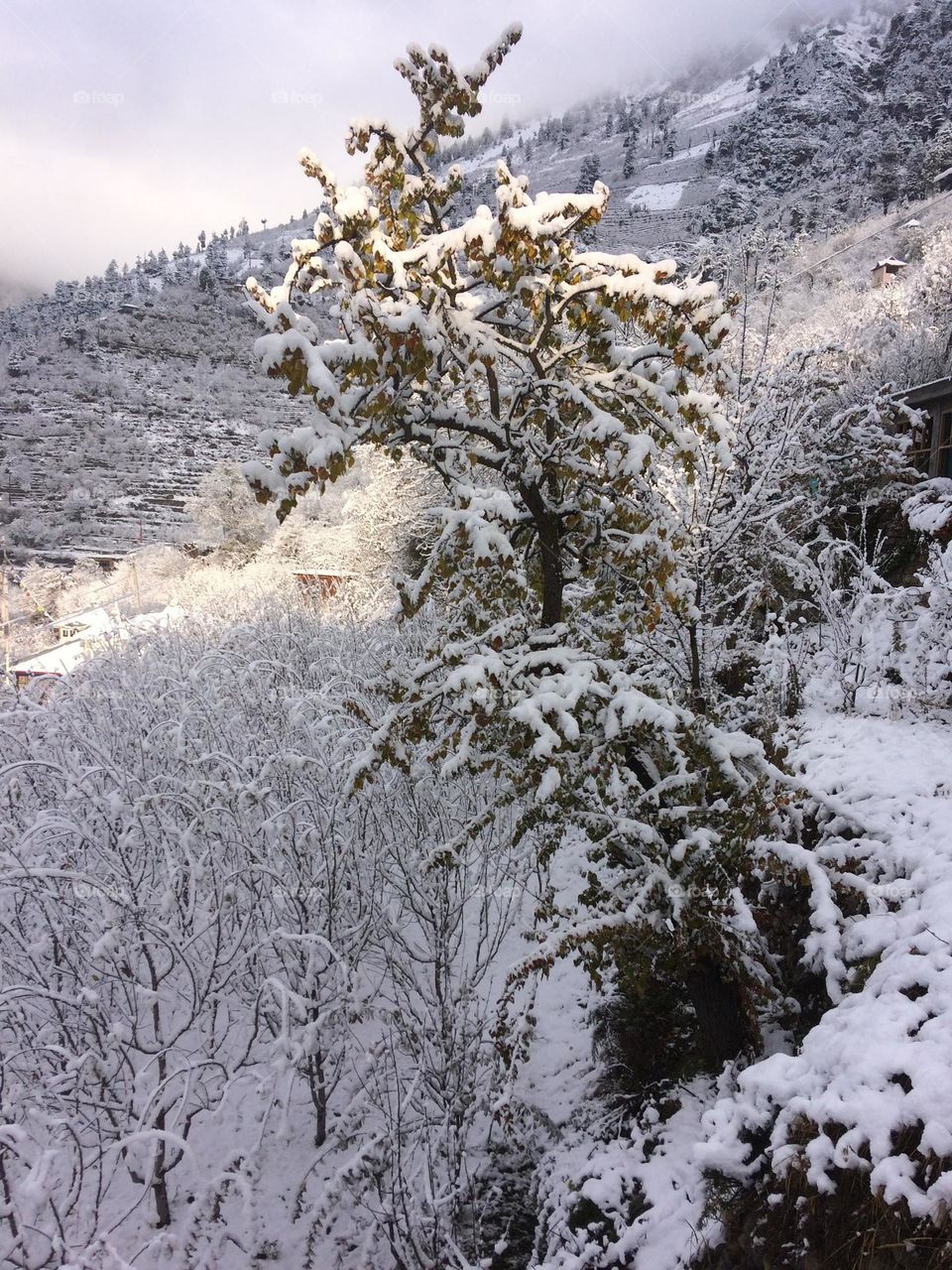 amazing winter snow season