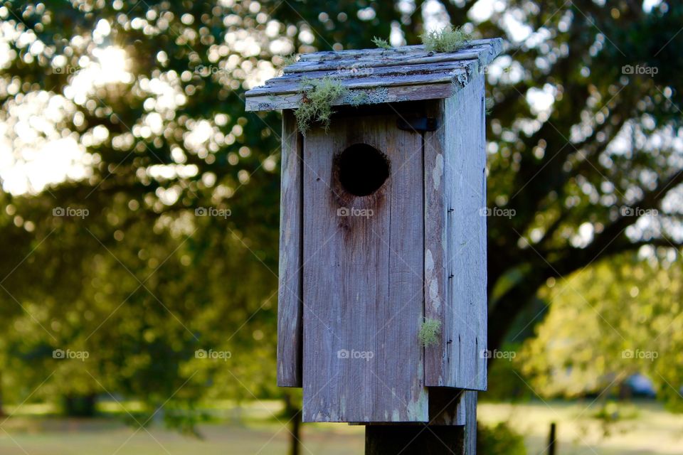 Gray weathered birdhouse
