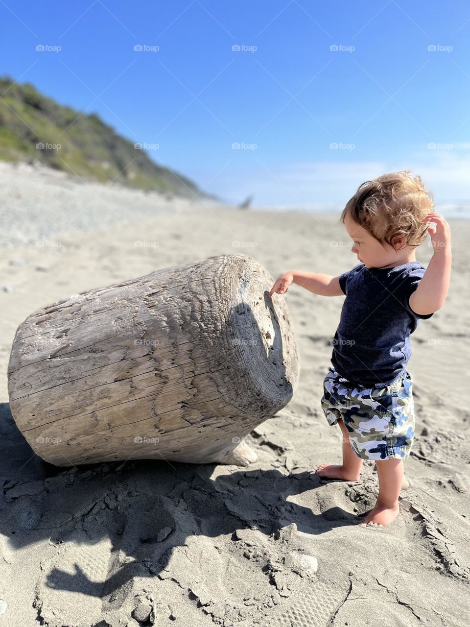 Curiosity on the beach 