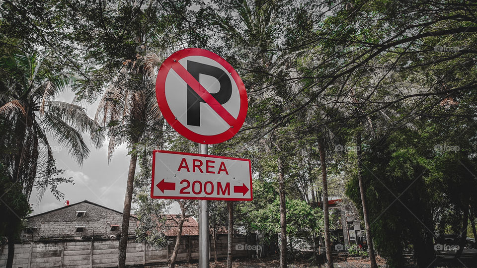 No parking signs against trees in the background