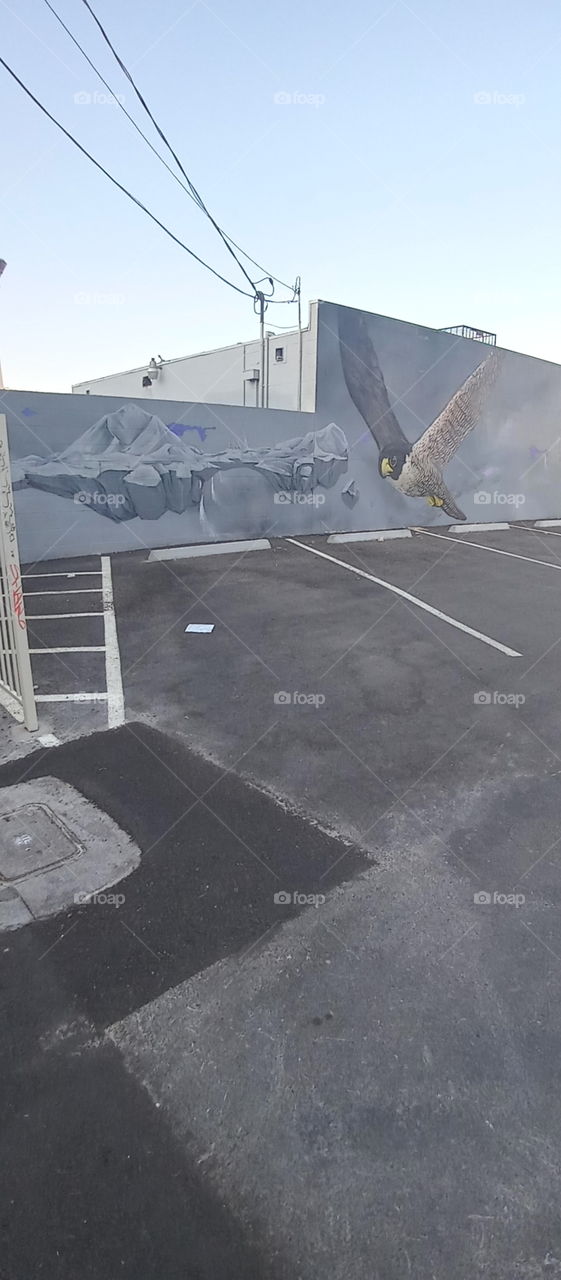 looking for a little good hood art