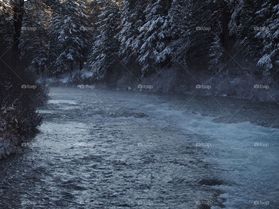 The magnificent Metolius River at Wizard Falls with a morning fog on a cold winter day. 