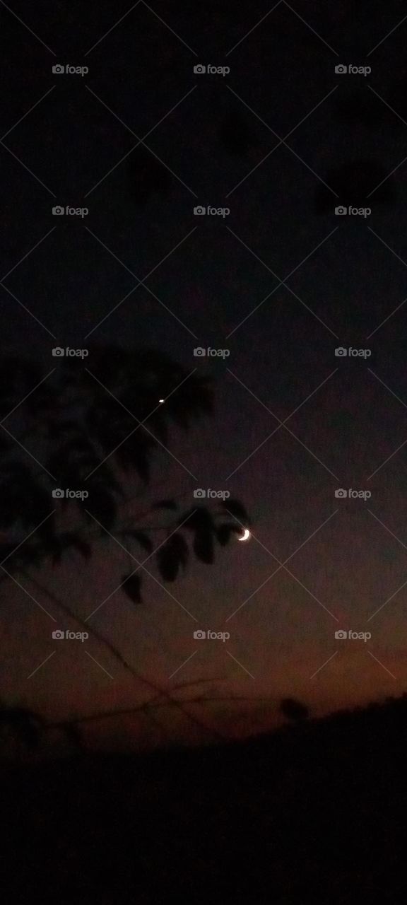 The moon of the night is a calm, wonderful view, nature