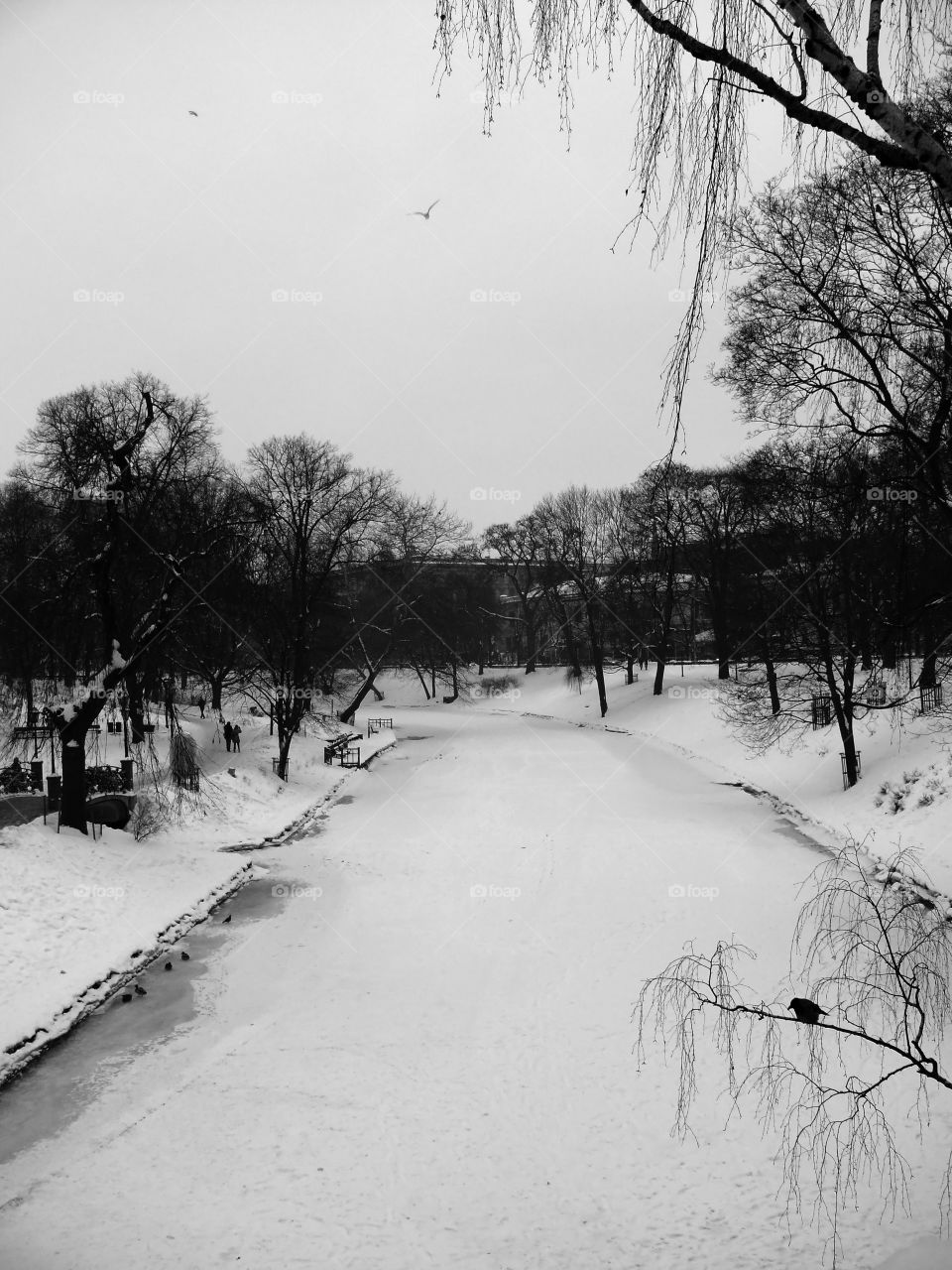 Black and white shot of Riga during winter.