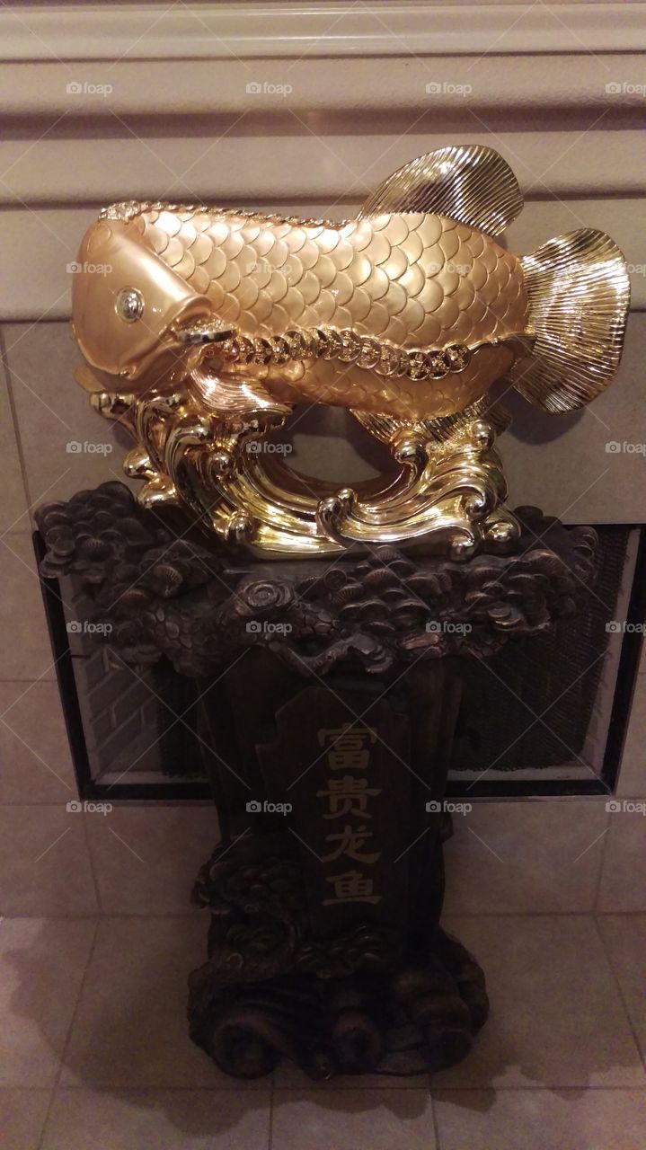 dragon fish