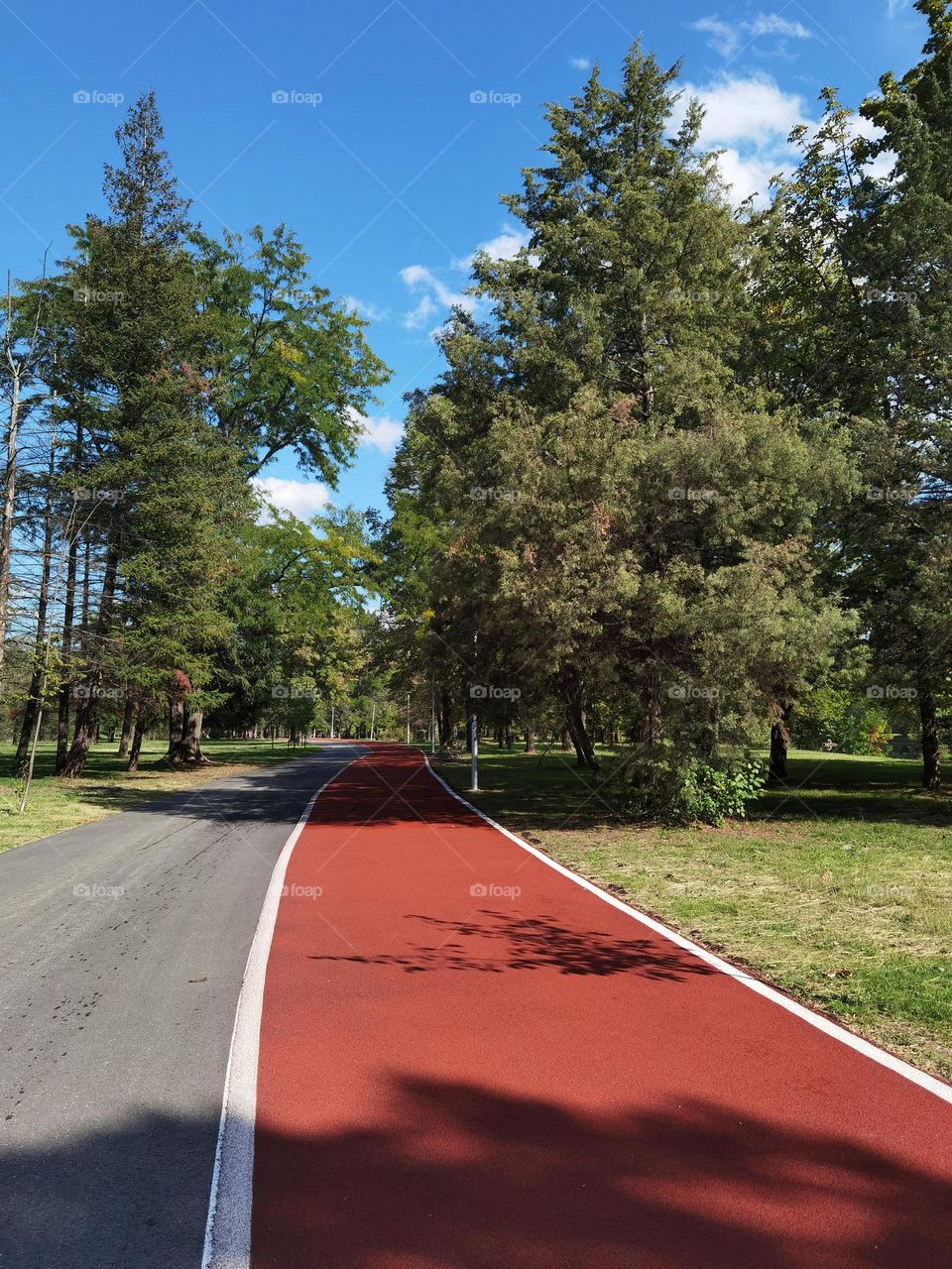 Jogging path in a city park.