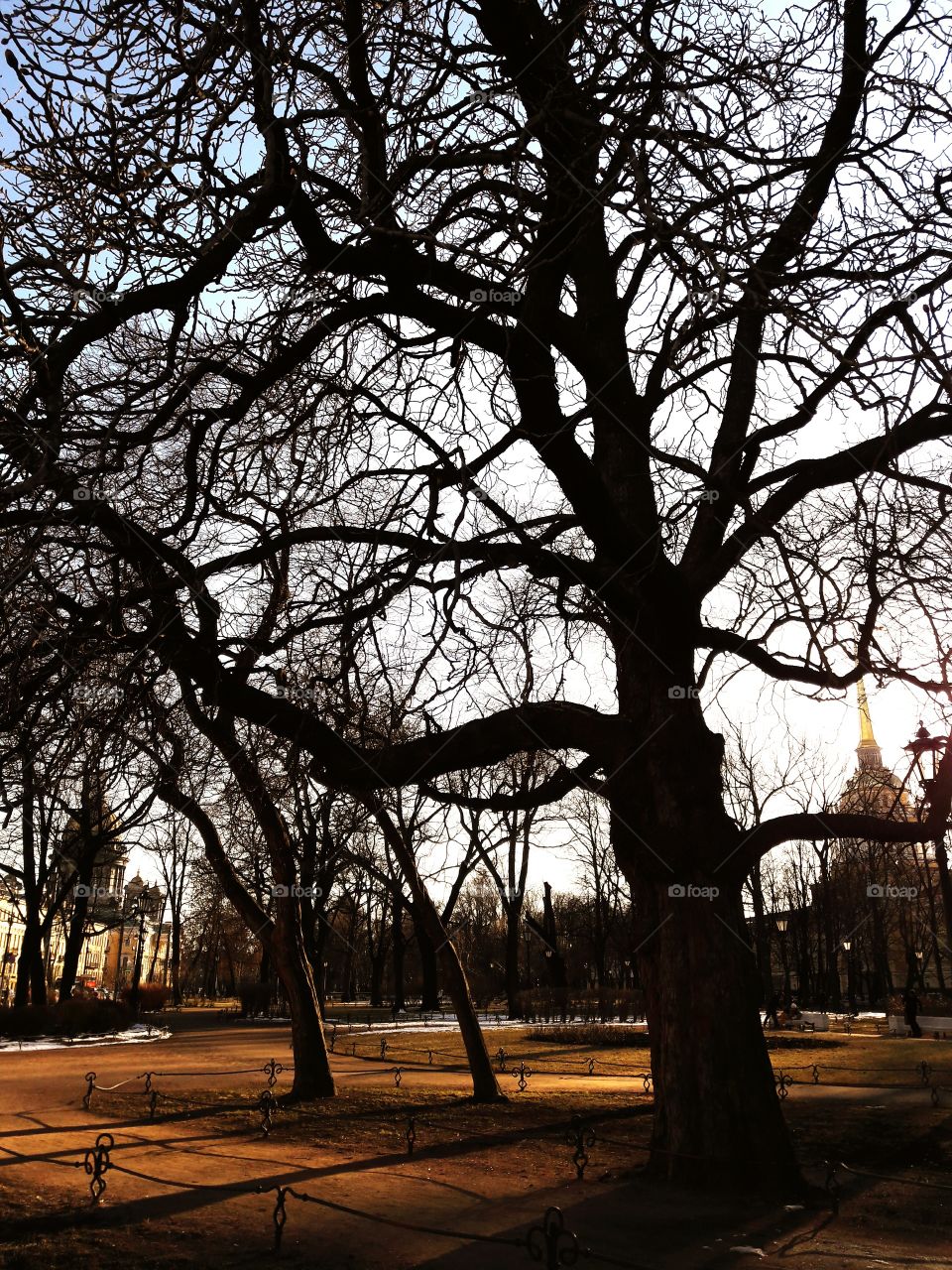 nature city town street statue architecture
