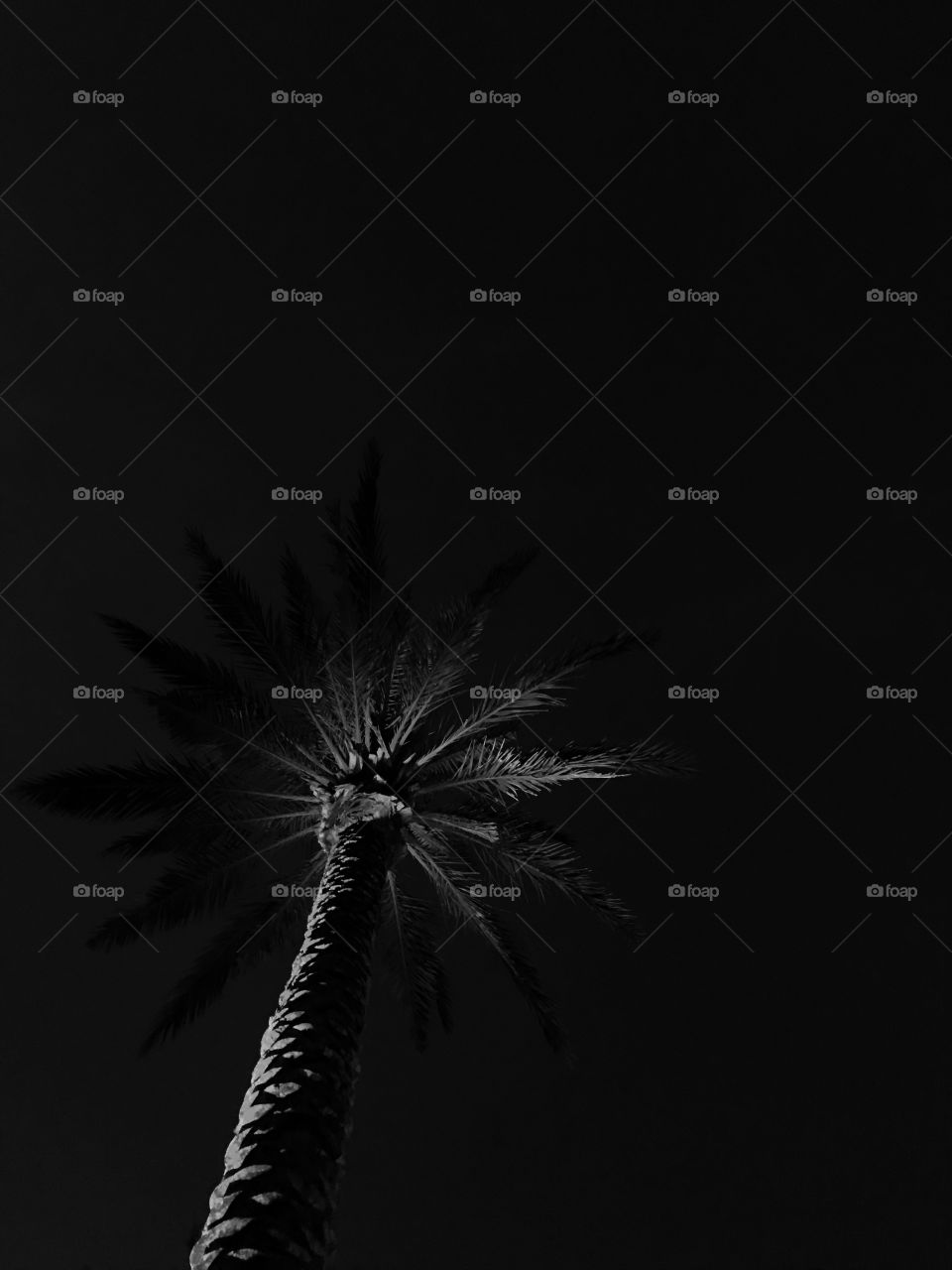 In the shadows - a place many are afraid to be, but the one place to see the big picture in life with no distractions. 