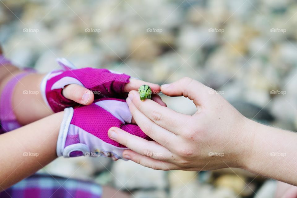 Sweet photo of two hands coming together to hold huge green caterpillar just found! 