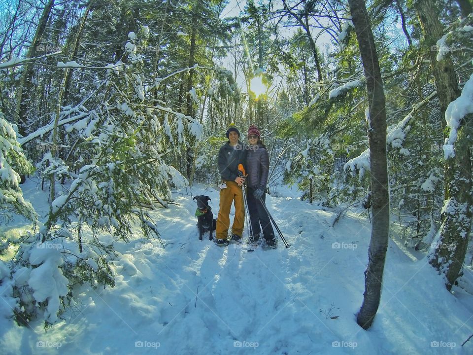 Snow, Wood, Winter, Tree, Cold