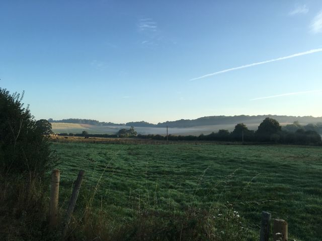 Landscape 