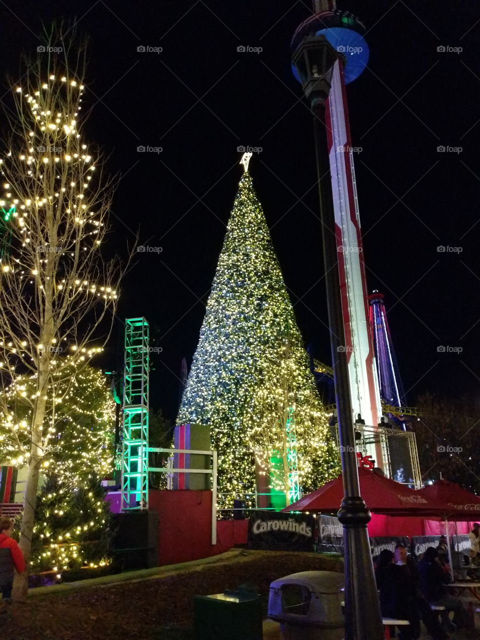 Carowinds Christmas time celebration. Christmas tree and lights.