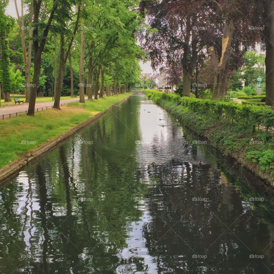 River street . River in Düsseldorf 