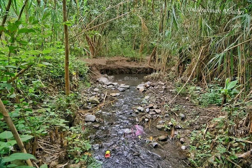 The image embodies a natural natural plate of the mountains of nature, where green agricultural stands are graded on the slopes as if they were lines of a poem, which fog harmoniously wrapped, and clouds hugged them in the mountain knife and the whis