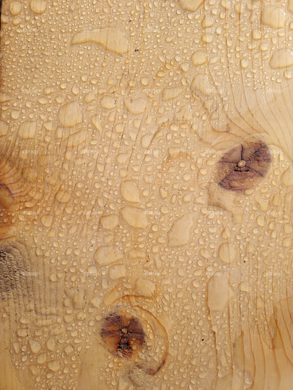 water drop patterns on a plank of wood