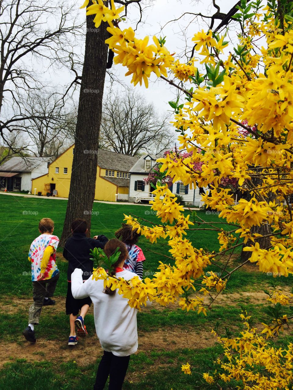 Yellow. Spring