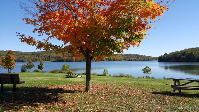 Lovely fall