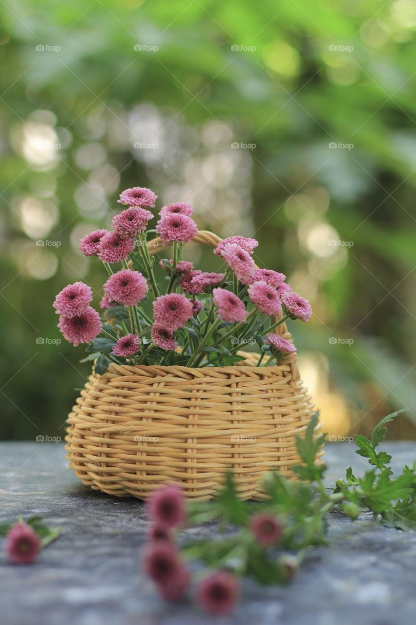 Pink flowers in a rattan vase on hand