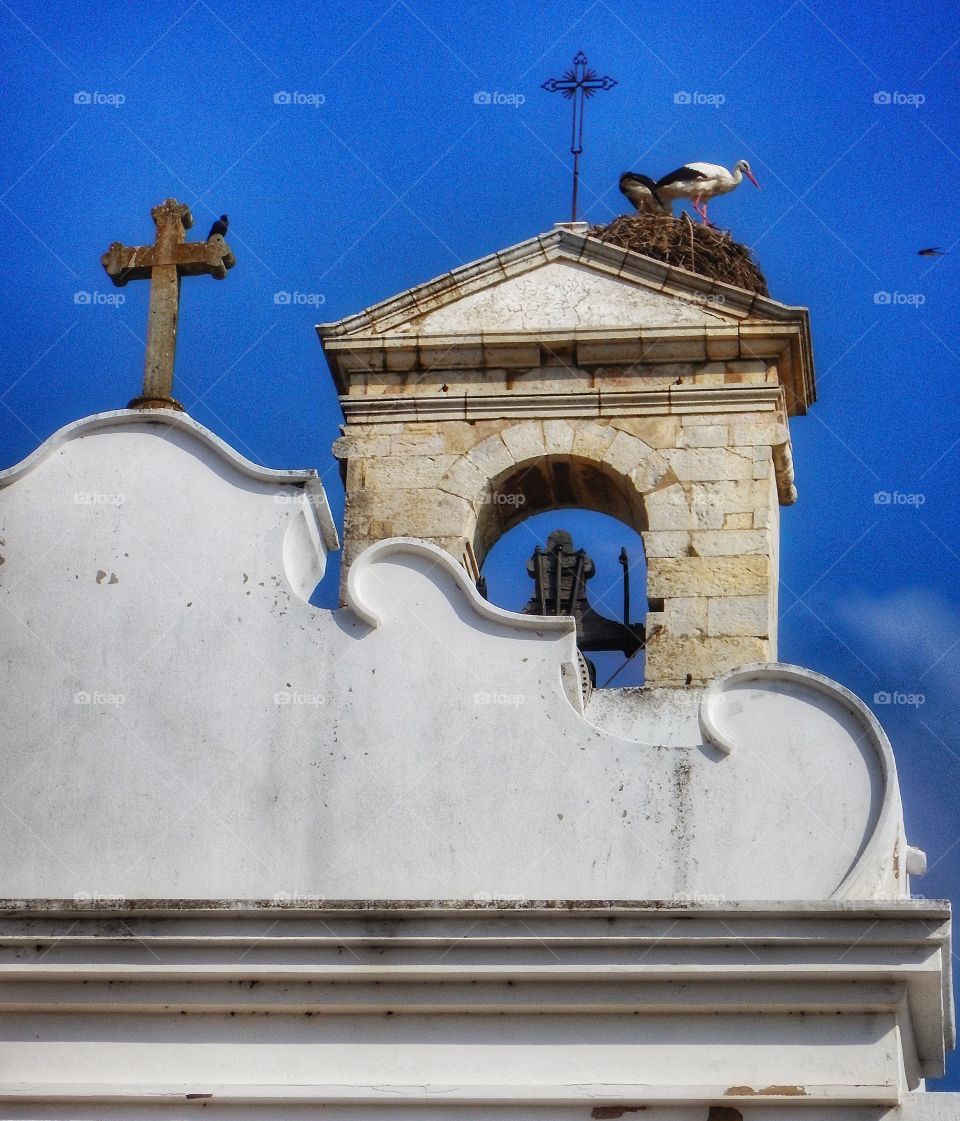 Portugal stork