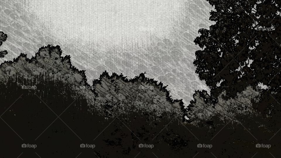 rain trees art grayscale