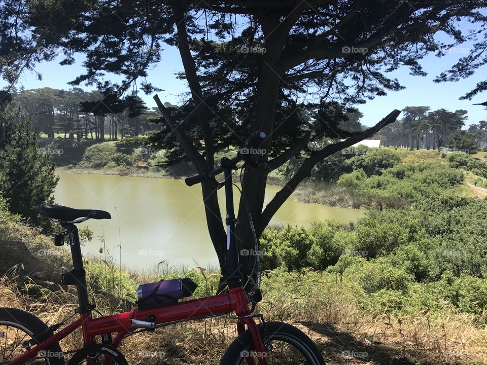 Biking around the lake