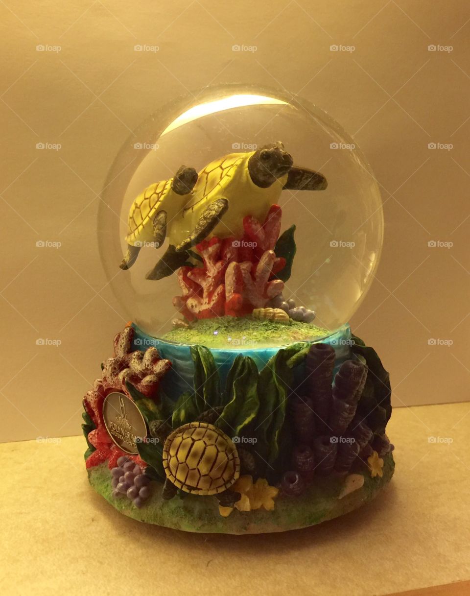 My music box collection 