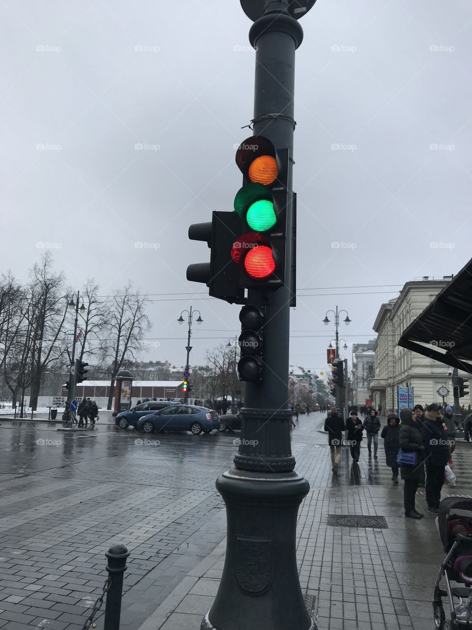 when the traffic light celebrates