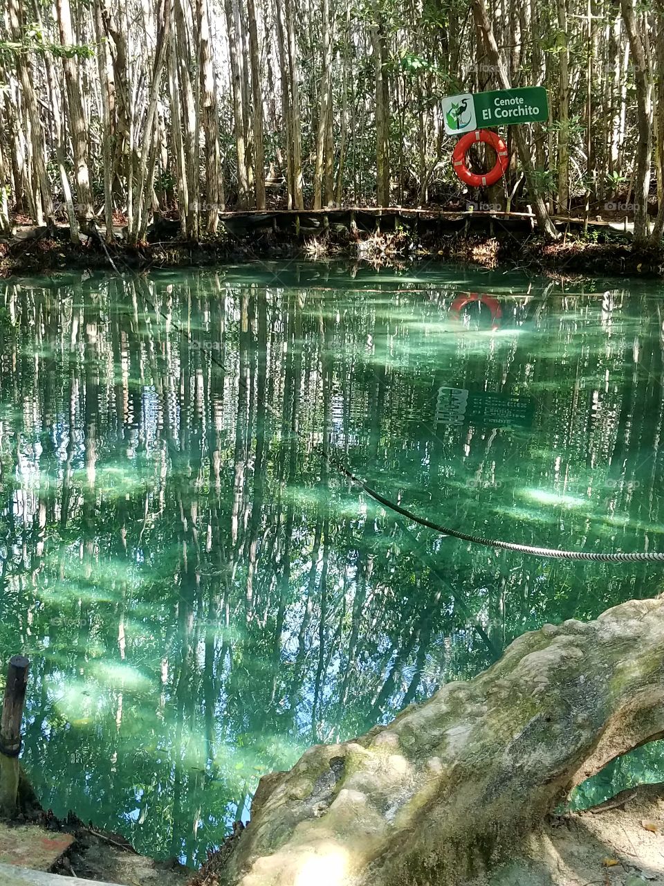 Mexico Cenote